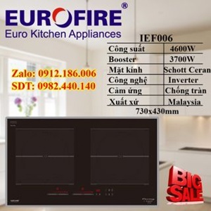 Bếp từ đôi Eurofire IEF006