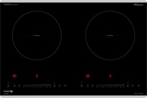 Bếp từ đôi Fandi FD-640G