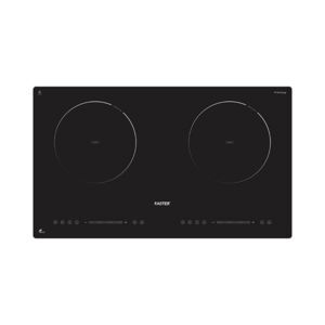 Bếp từ đôi Faster FS 889VN Pro