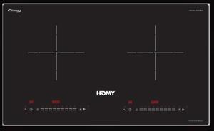 Bếp từ đôi Homy HM-199