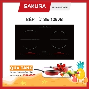 Bếp từ đôi Sakura SE-1250B