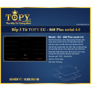 Bếp từ đôi Topy TP-868Plus