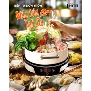 Bếp từ đơn Ferroli FI2000RS