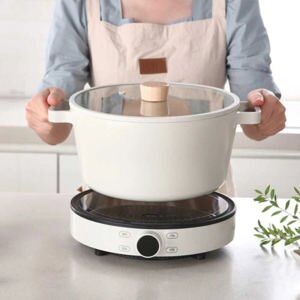 Bếp từ đơn Fika Neoflarm
