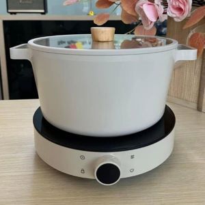 Bếp từ đơn Fika Neoflarm