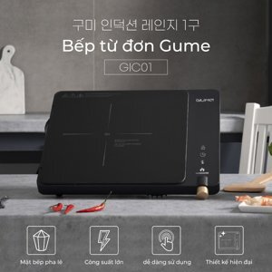 Bếp từ đơn GUME GIC LITE-02