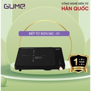 Bếp từ đơn GUME GIC LITE-02
