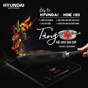 Bếp từ đơn Hyundai HDE 1123