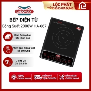 Bếp từ đơn Ladomax HA-667