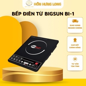 Bếp từ dương 1 vùng nấu Bigsun BI1