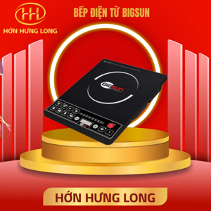 Bếp từ dương 1 vùng nấu Bigsun BI1