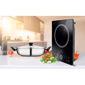 Bếp từ dương 1 vùng nấu Elmich Smartcook ICS-3874