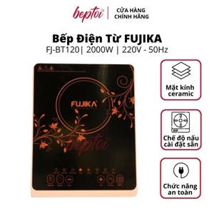 Bếp từ dương 1 vùng nấu Fujika FJ-BT1920