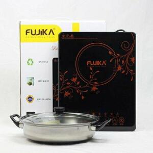 Bếp từ dương 1 vùng nấu Fujika FJ-BT19