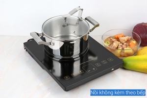 Bếp từ dương 1 vùng nấu Gree GCWK-21XSFa