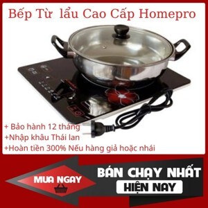 Bếp từ dương 1 vùng nấu Homepro HP-IC2