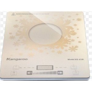 Bếp từ dương 1 vùng nấu Kangaroo KG419i (KG-419i)