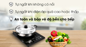 Bếp từ dương 1 vùng nấu Kangaroo KG18IH1