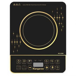 Bếp từ dương 1 vùng nấu Kangaroo KG426H