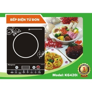 Bếp từ dương 1 vùng nấu Kangaroo KG420I