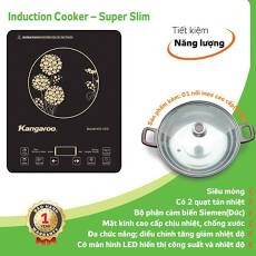 Bếp từ dương 1 vùng nấu Kangaroo KG408I