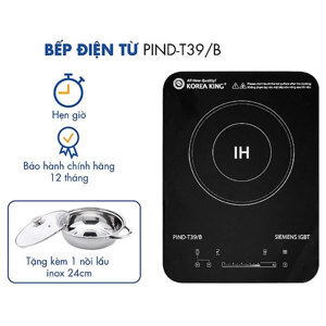 Bếp từ dương 1 vùng nấu Korea King PIND-T39/B