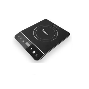 Bếp từ dương 1 vùng nấu Rapido RI2000ES