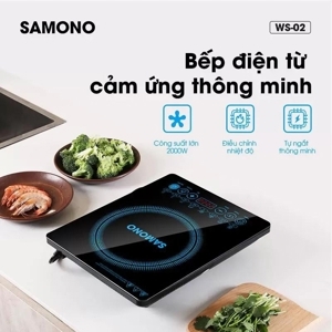 Bếp từ dương 1 vùng nấu Samono WS-02