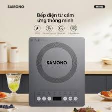 Bếp từ dương 1 vùng nấu Samono WS-02