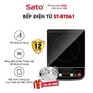 Bếp từ dương 1 vùng nấu Sato BT061