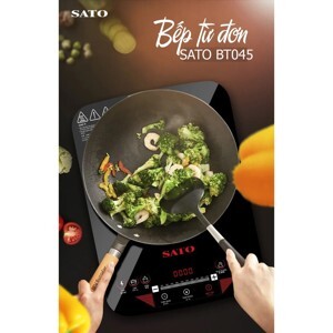 Bếp từ dương 1 vùng nấu Sato BT045