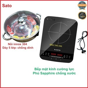 Bếp từ dương 1 vùng nấu Sato BT042