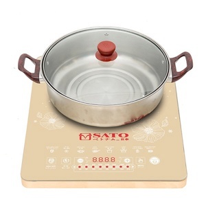 Bếp từ dương 1 vùng nấu Sato STB-106