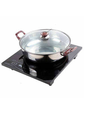Bếp từ dương 1 vùng nấu Sofia Rosa SRI-1029