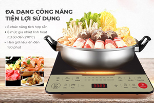 Bếp từ dương 1 vùng nấu Sunhouse SHD6869