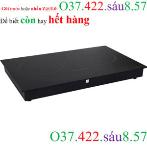 Bếp từ hồng ngoại âm 2 vùng nấu Kangaroo KG499N