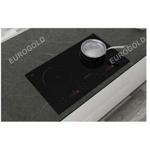 Bếp từ hồng ngoại âm 2 vùng nấu Eurogold EUH2110