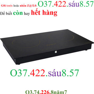 Bếp từ hồng ngoại âm 2 vùng nấu Kangaroo KG499N