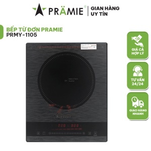 Bếp từ Pramie 1105