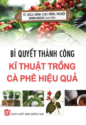 Bí Quyết Thành Công Kĩ Thuật Trồng Cà Phê Hiệu Quả