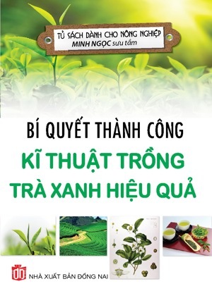 Bí Quyết Thành Công Kĩ Thuật Trồng Trà Xanh Hiệu Quả