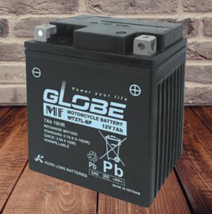 Bình ắc quy Globe WTZ7L-BP