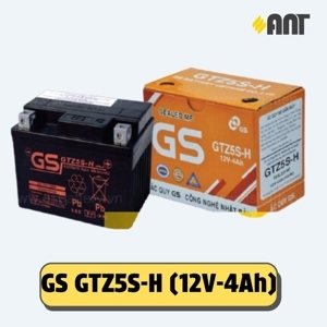 Bình ắc quy GS GTZ5S-H