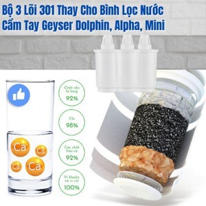 Bình lọc nước kháng khuẩn nano Geyser Dolphin 3L