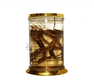 Bình ngâm rượu thủy tinh N17 - 25.3 Lít