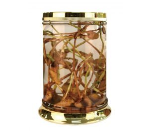 Bình ngâm rượu Yongcheon N27 - 2.5 Lít