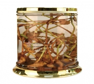 Bình ngâm rượu Yongcheon N29 - 660 ml