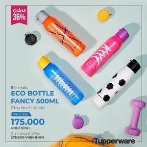 Bình nước Eco Bottle Fancy 500ML