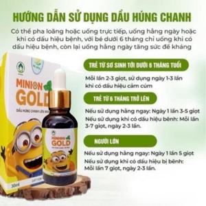 Bình nước thủy tinh giữ nhiệt Minion