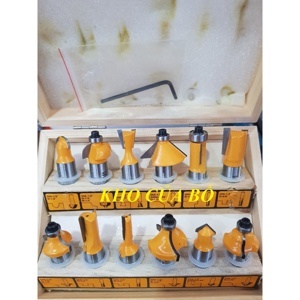 Bộ 12 mũi phay gỗ Ingco AKRT12121